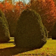 Illustration for article titled Shooting Challenge Fall Leaves Gallery 11